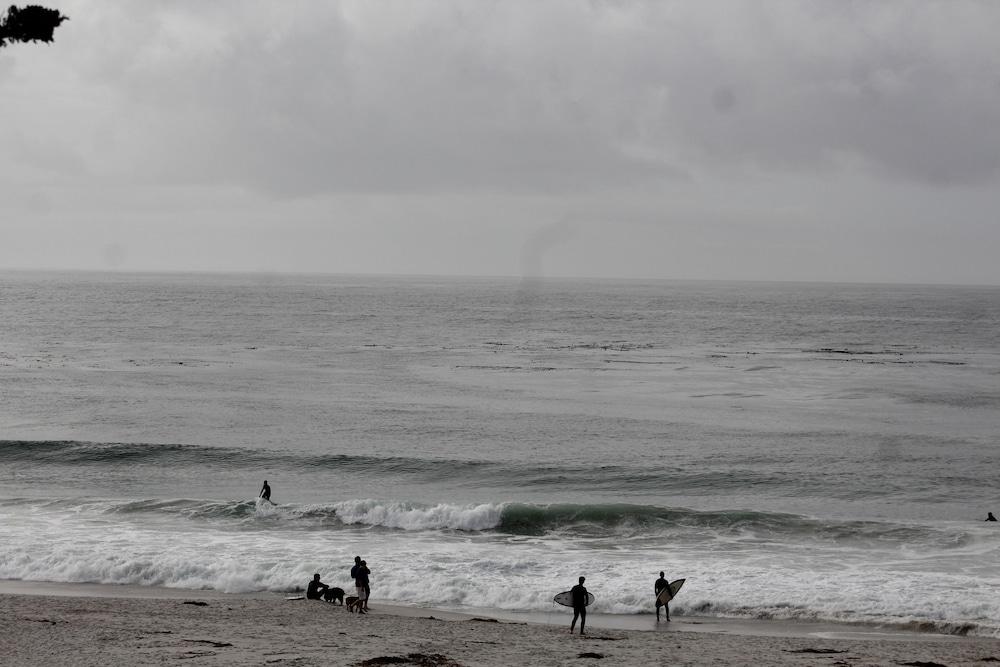 Pacific Grove Inn photo 53
