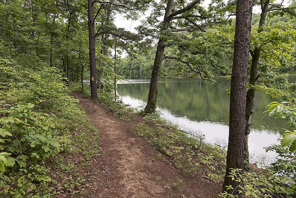 Greenbo Lake State Resort Park photo 25