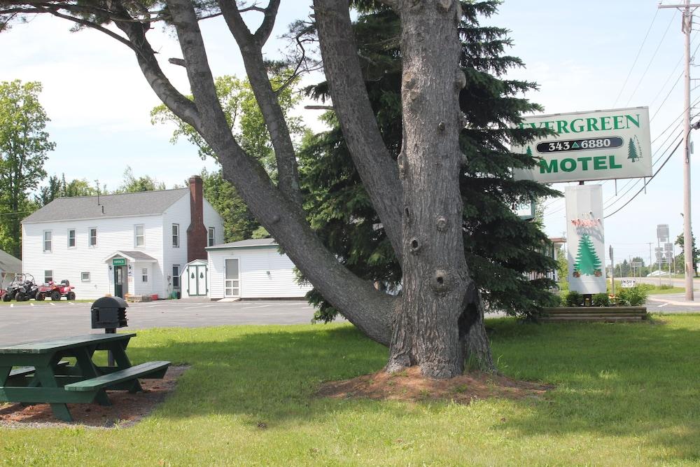 The Evergreen Motel photo 79