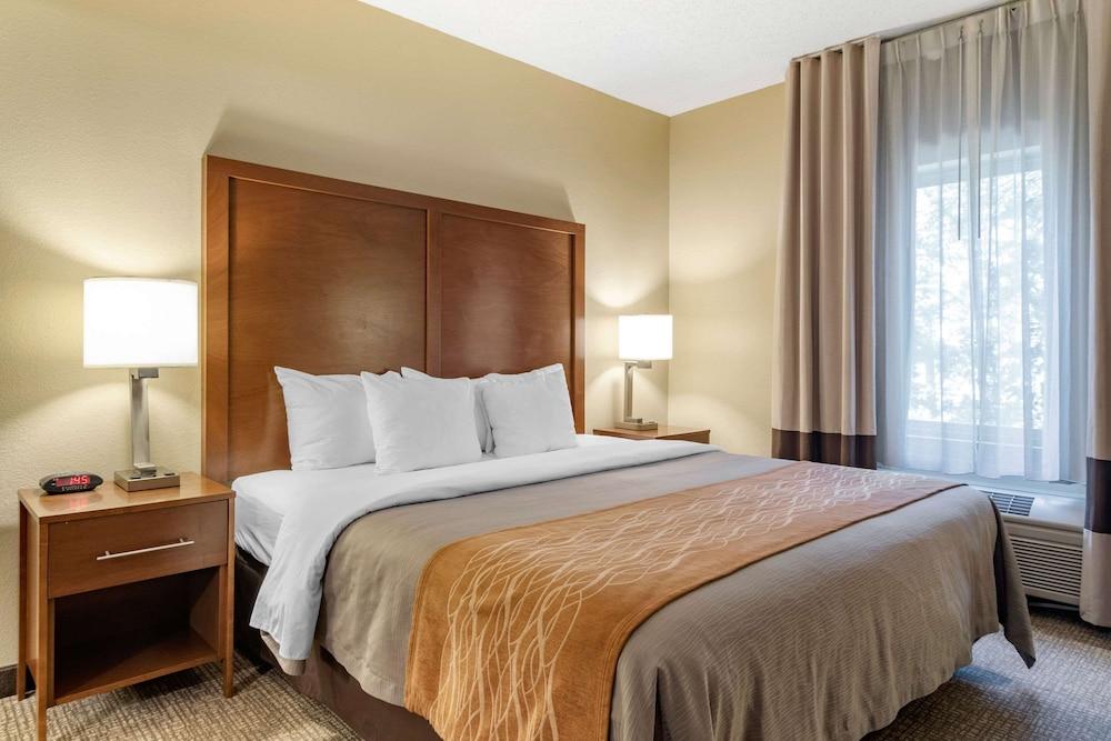 Comfort Inn & Suites Suwanee - Sugarloaf photo 4