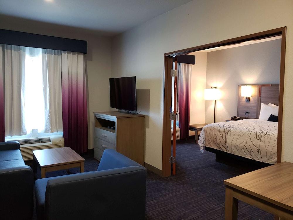 Best Western Plus San Antonio East Inn & Suites photo 4