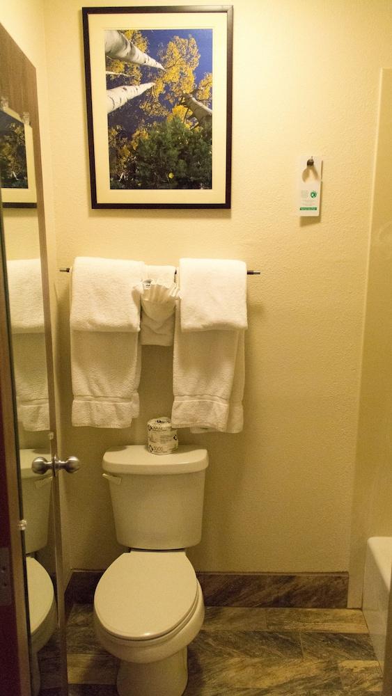Comfort Inn Flagstaff South I-17 photo 25