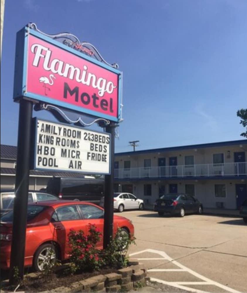 Flamingo Motel photo 12