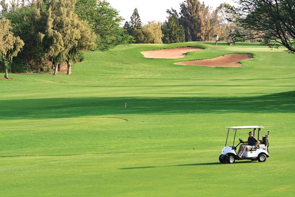 Paniolo Greens At Waikoloa photo 62