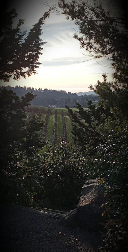 The Boutique Retreat photo 48