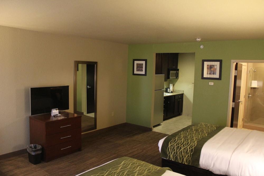Comfort Inn Bentonville - Crystal Bridges photo 7