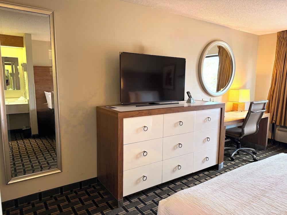 Edn Hotel photo 4