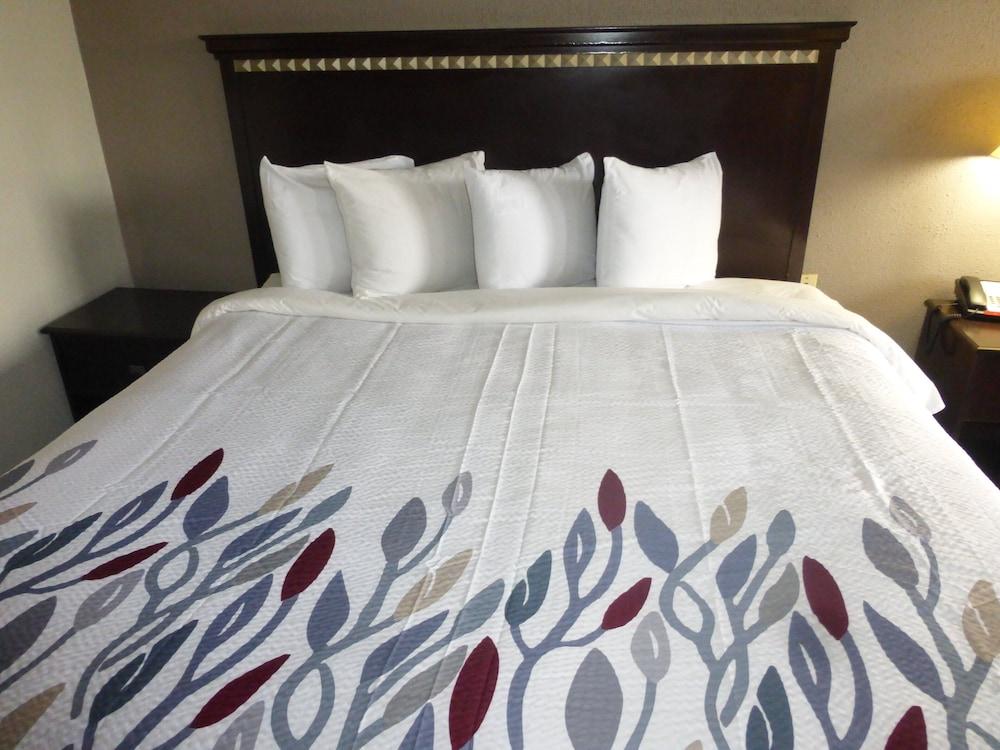 Red Roof Inn Evergreen photo 2