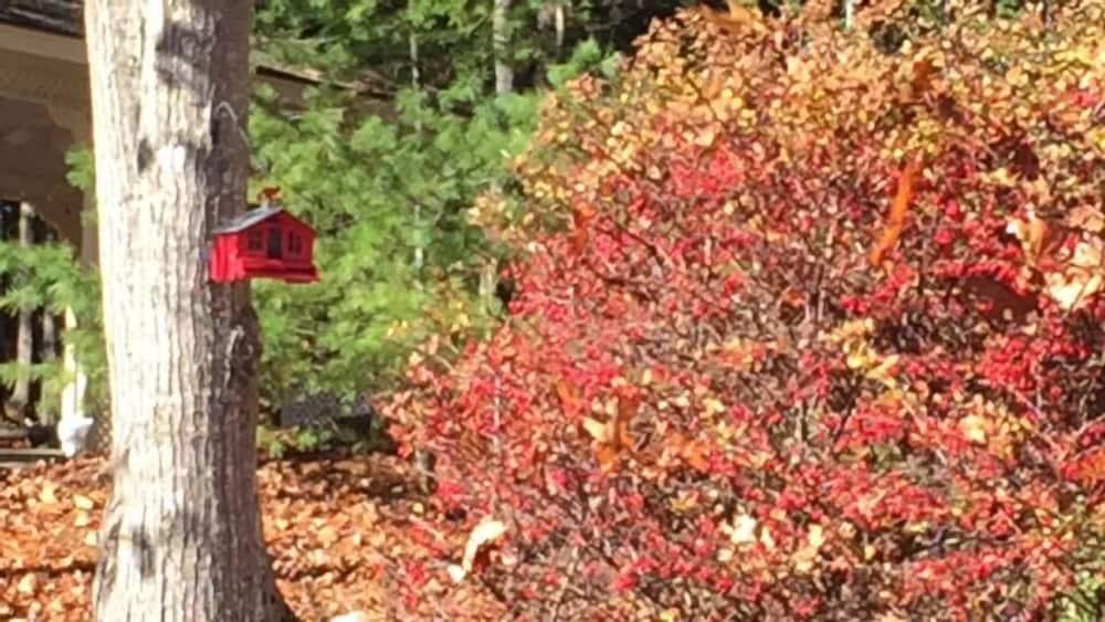 Mount Battie Inn photo 37
