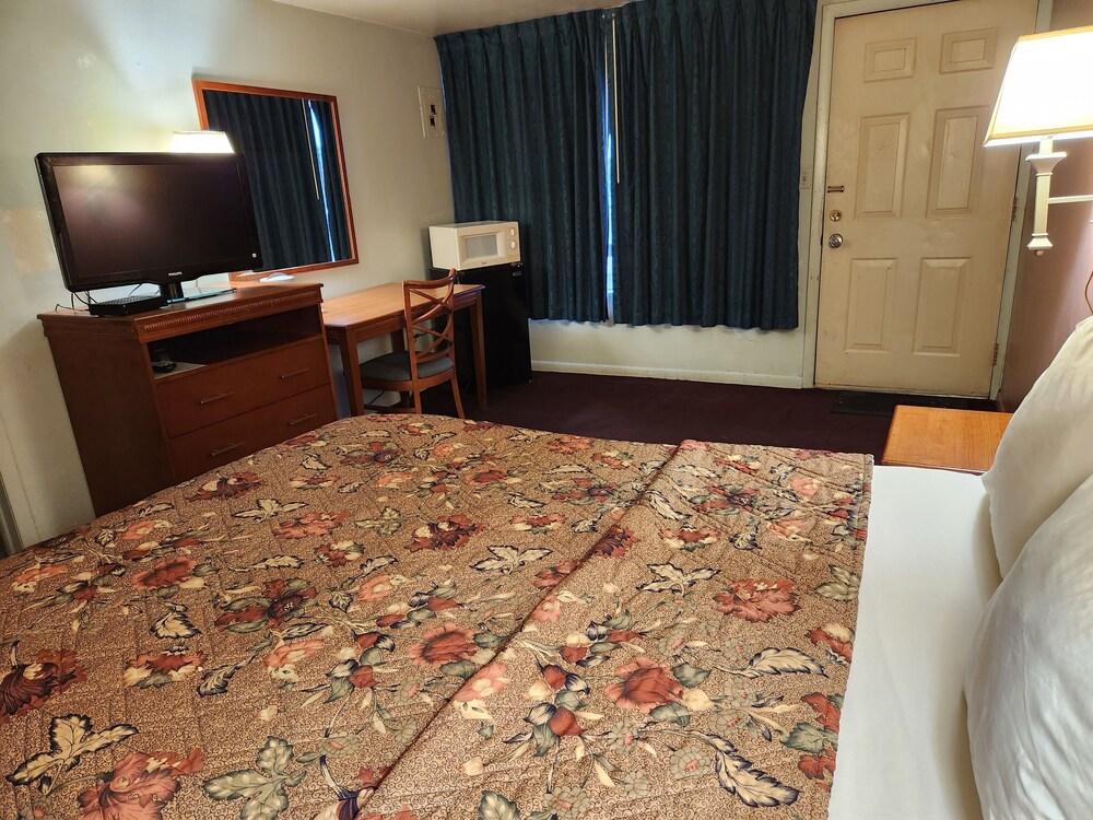 Royal Motel photo 53
