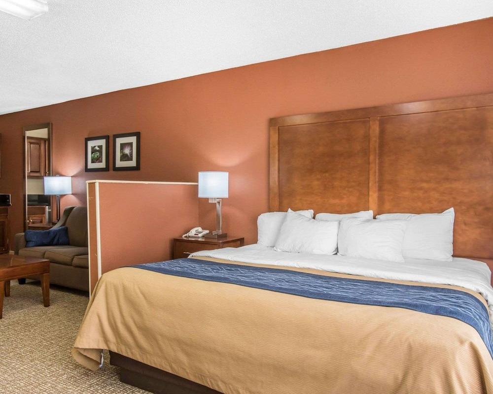 Comfort Inn Livingston photo 18