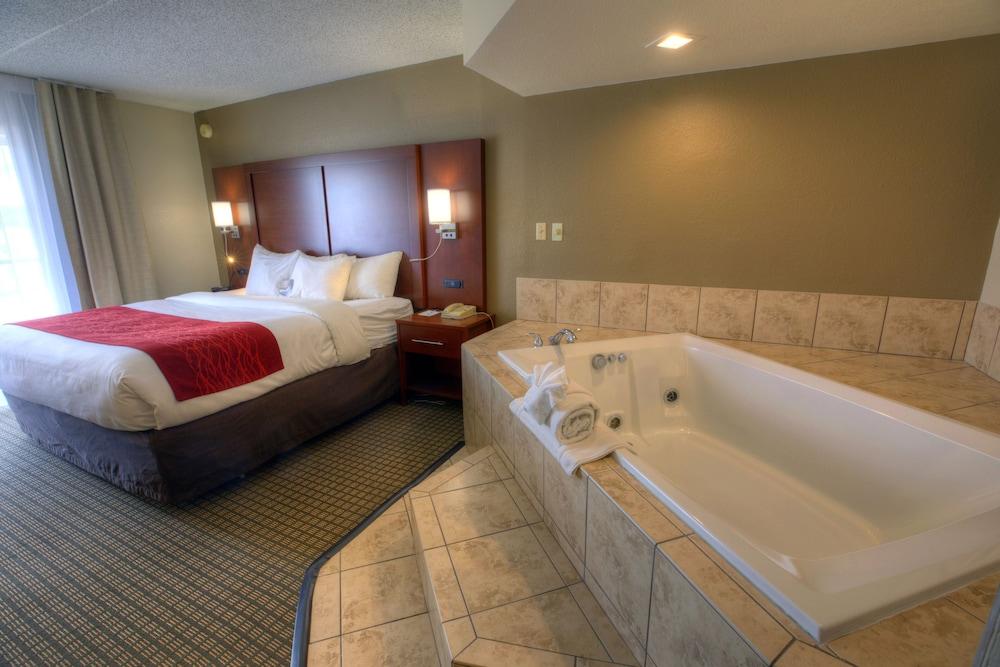 Comfort Inn & Suites Rochelle - DeKalb photo 69