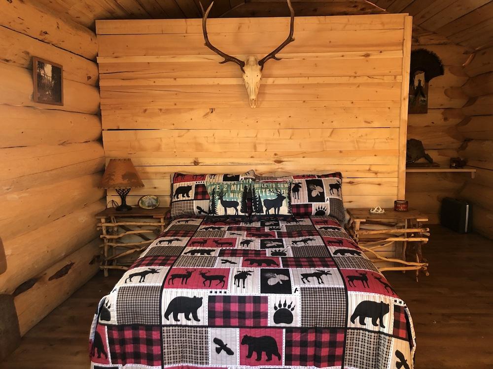 Wrangell Mountain Lodge photo 8