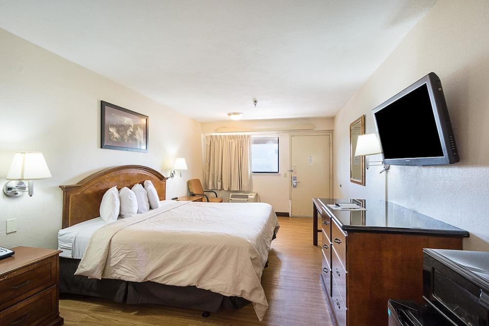 Rodeway Inn Tampa near Busch Gardens - USF photo 13