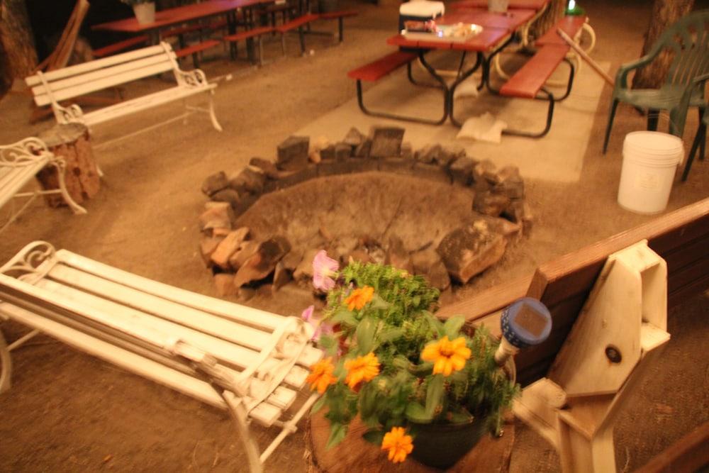 Black Bear Inn photo 40