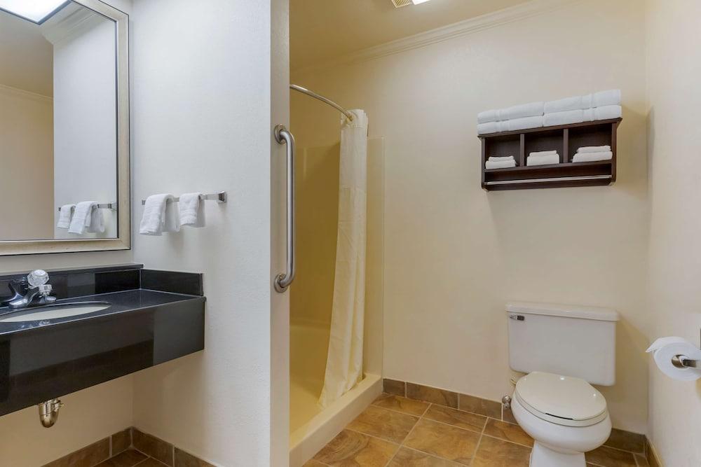 Best Western Davison Inn photo 45
