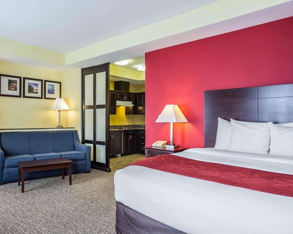 Comfort Suites Rock Hill Manchester Meadows Area photo 18