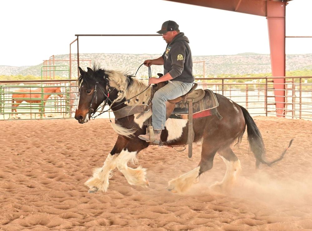 Teepee Lodge with Equus & Firearms/ranch photo 51