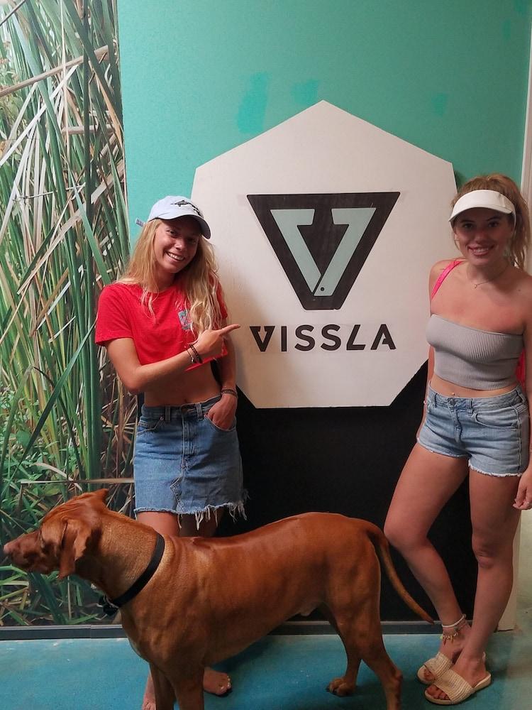House of Trestles - Hostel photo 17