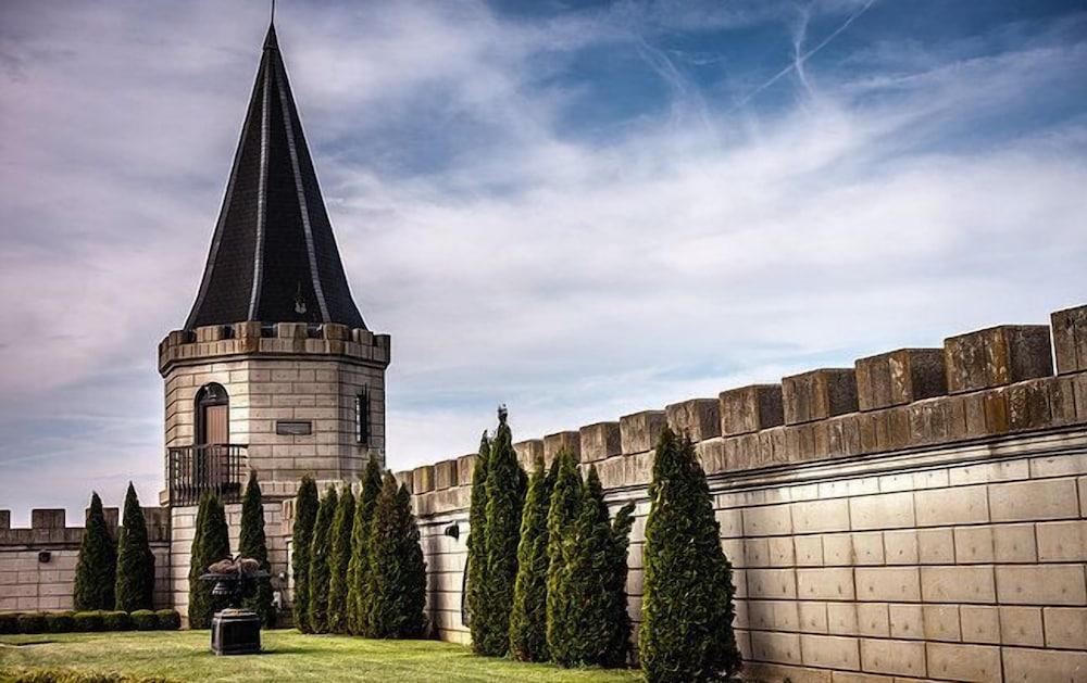 The Kentucky Castle photo 24