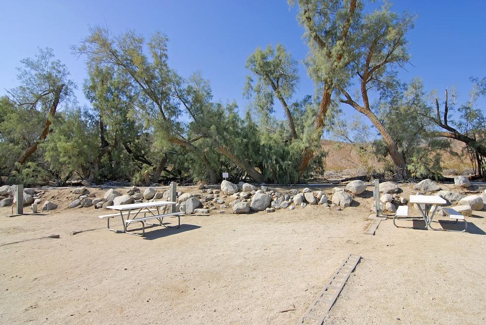 Palm Canyon Hotel & RV Resort photo 8
