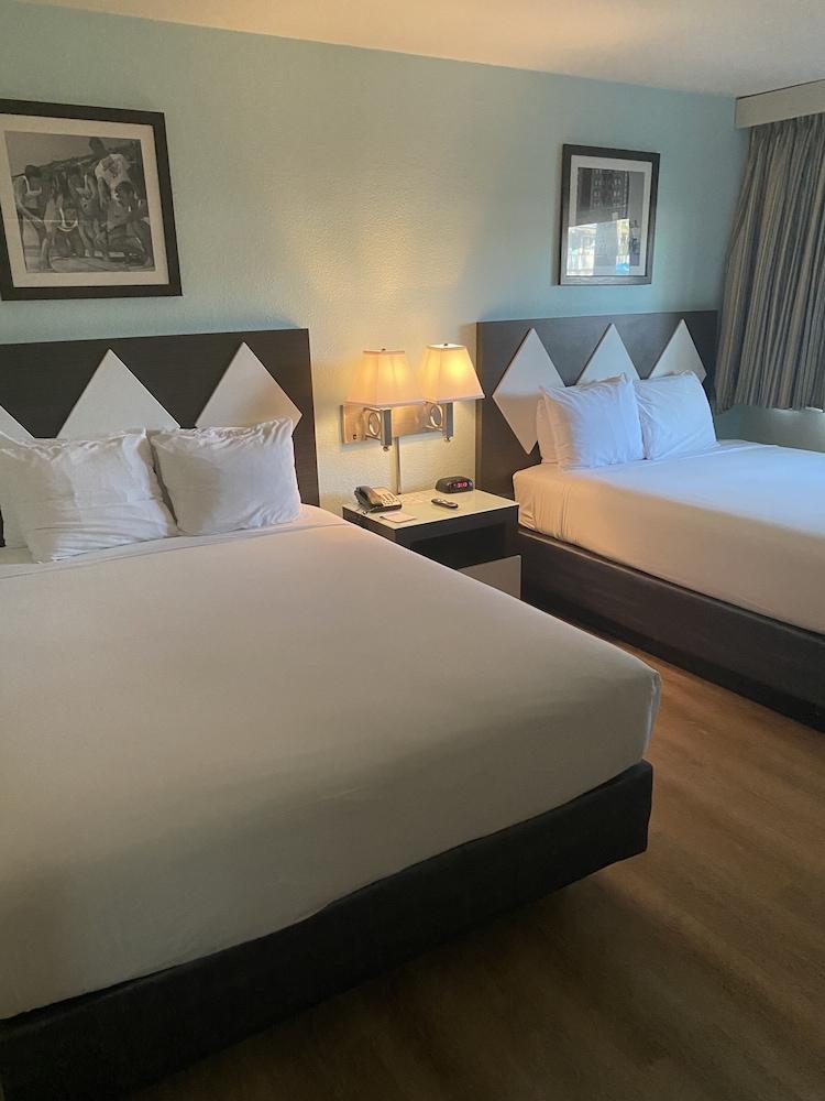 Kings Inn San Diego photo 81
