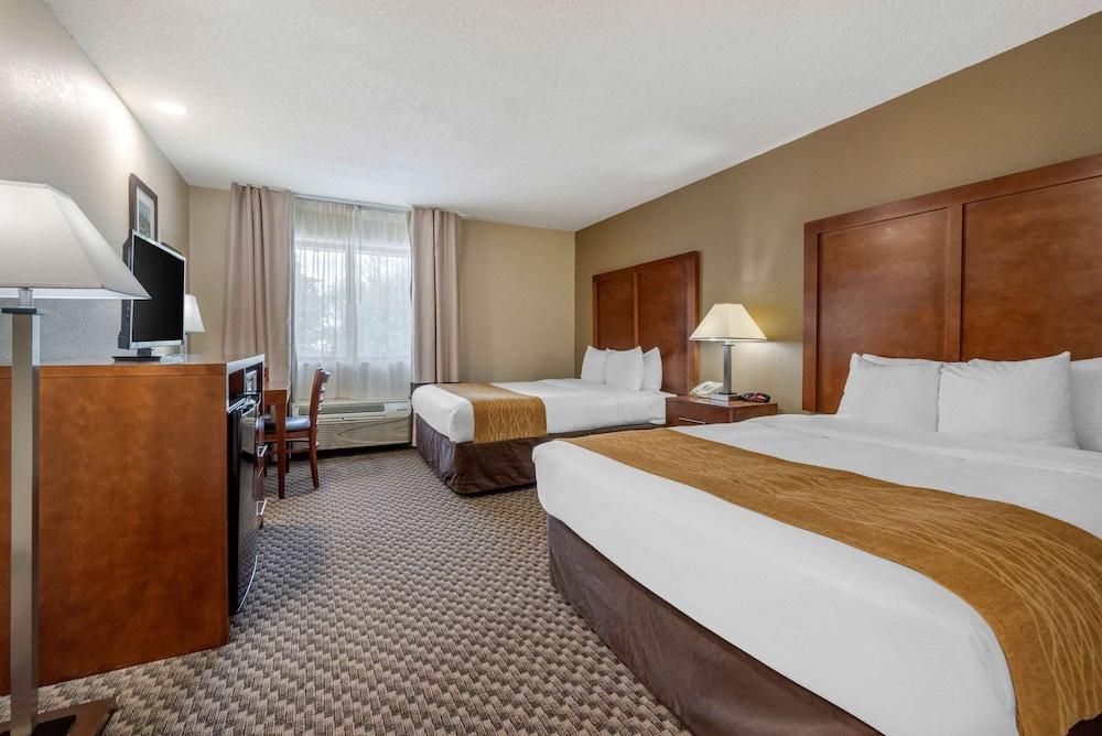 Comfort Inn Indianapolis South photo 12