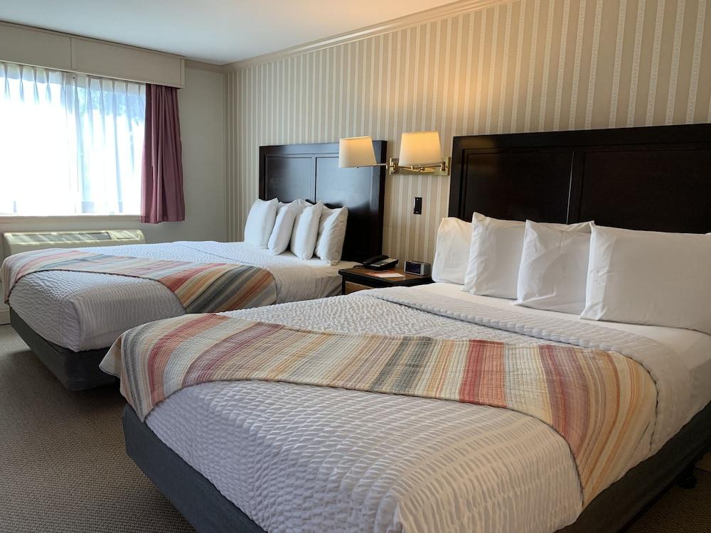 Coachman Inn & Suites photo 21