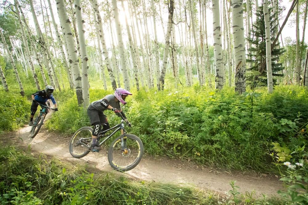 Mountain Chalet Snowmass photo 43