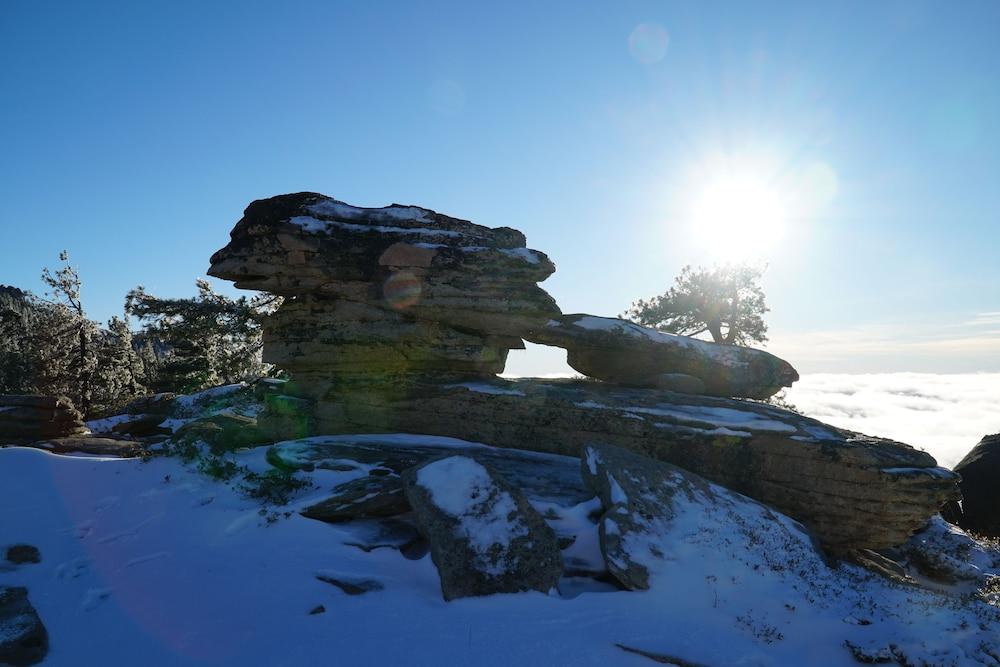 The Pines Resort photo 91