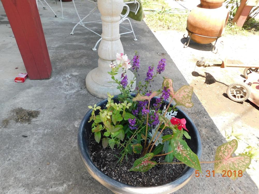 Little Shamrock Motel photo 29