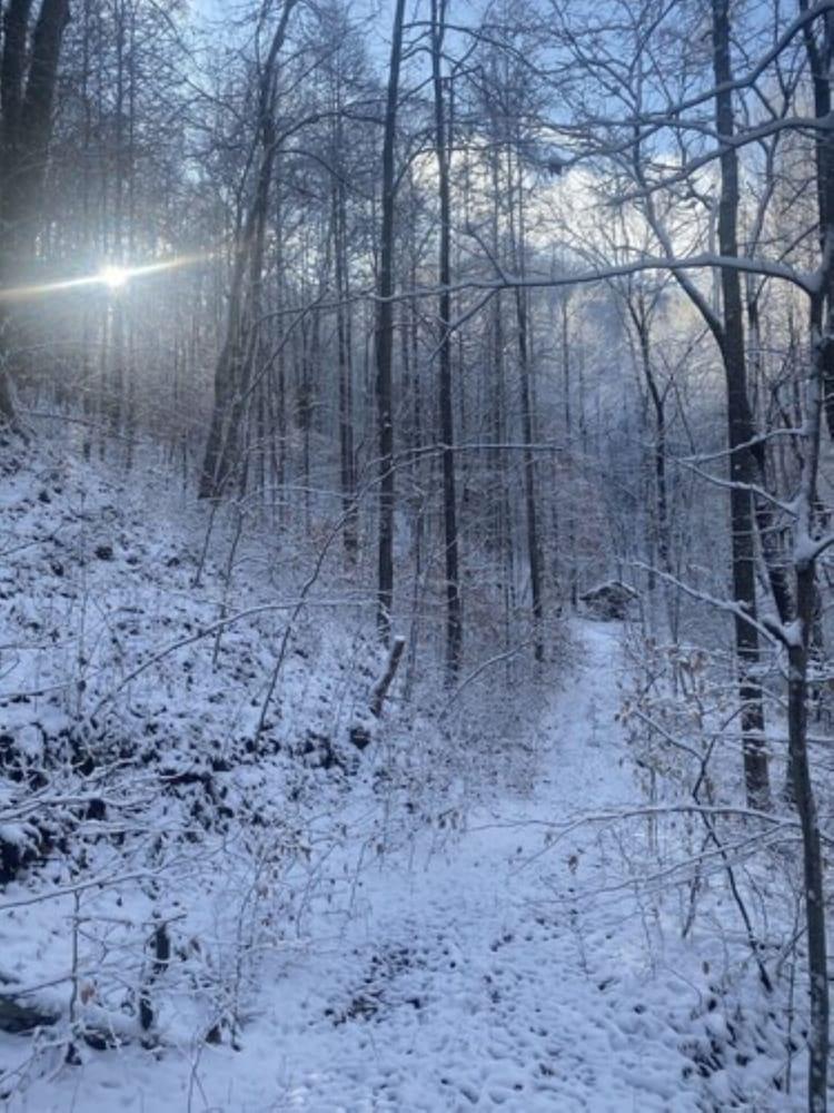 Fox Run Resort photo 25