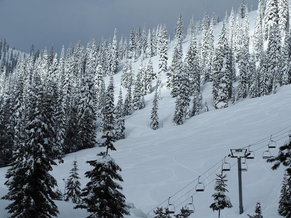 Shasta Inn photo 8