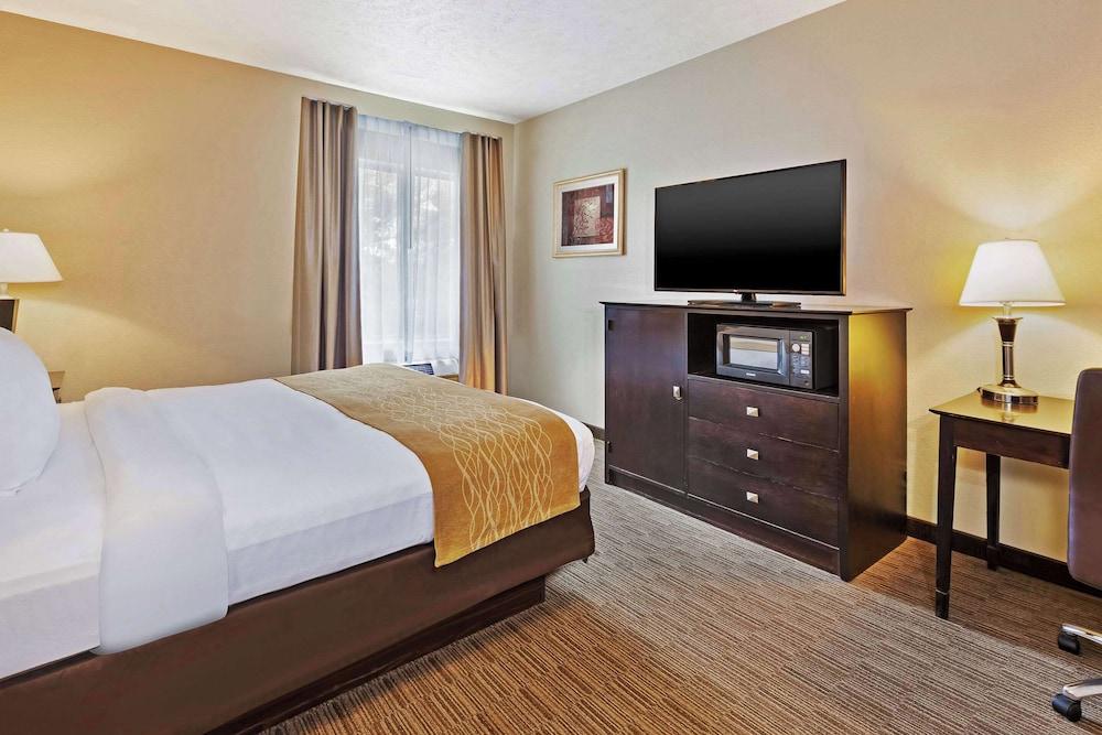 Comfort Inn Whitehall near Michigan's Adventure photo 11