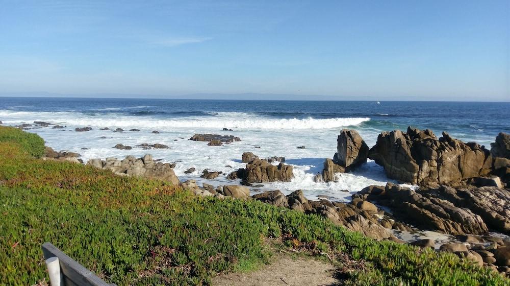 Pacific Grove Inn photo 48