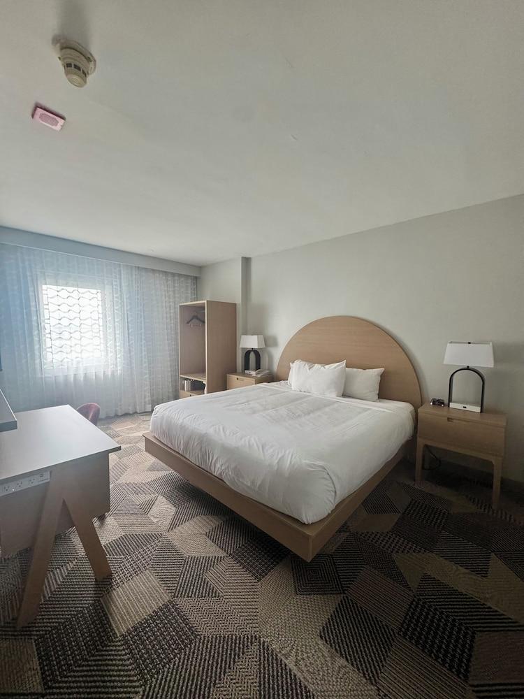Miami International Airport Hotel photo 7