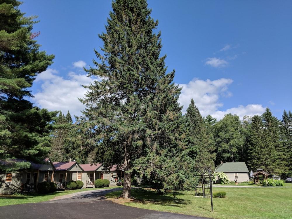 Pine Tree Motel & Cabins photo 31