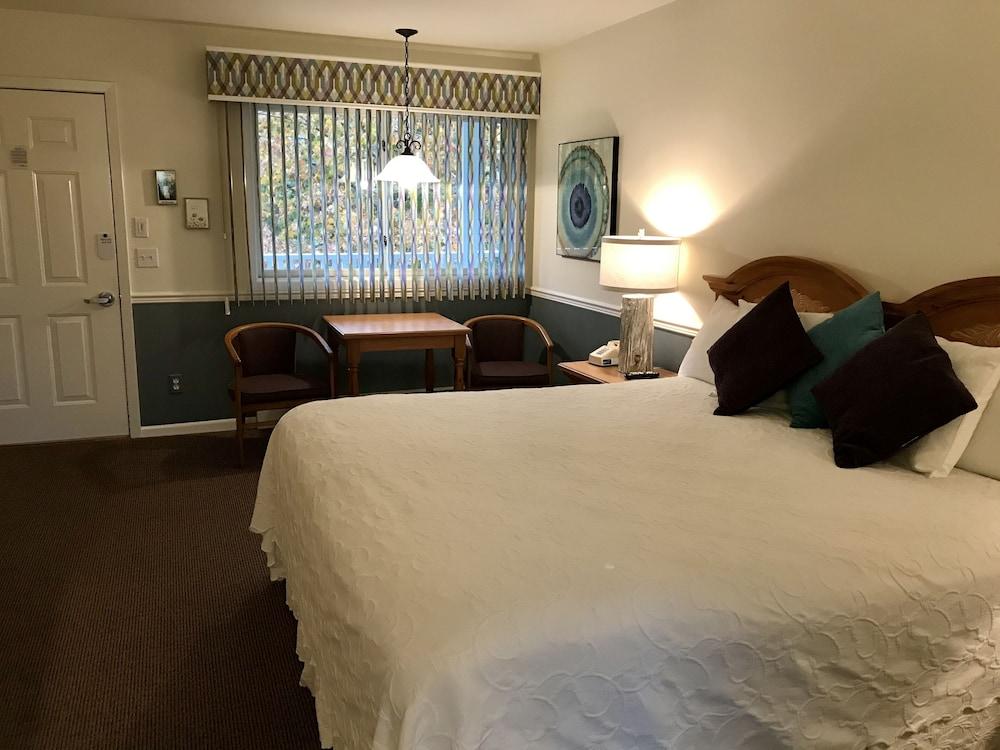 Main Street Motel photo 20