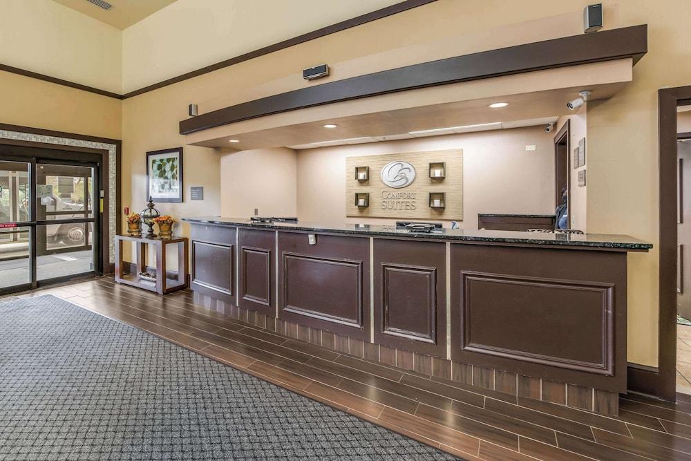 Comfort Suites Chicago O'Hare Airport photo 46