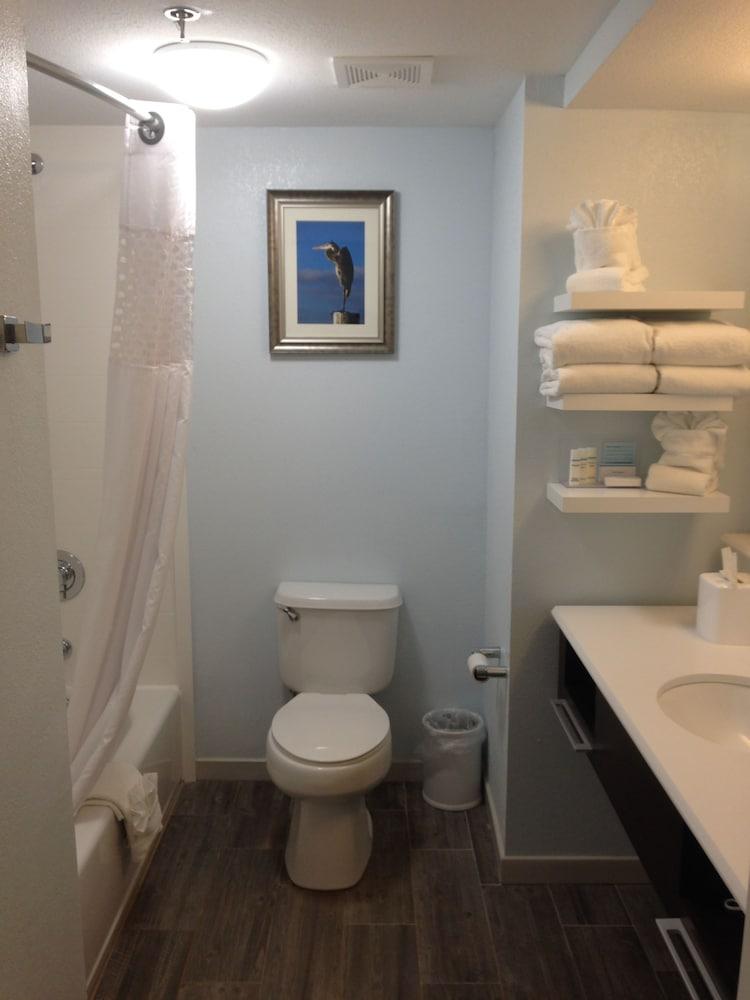 Hampton Inn Tampa/Rocky Point-Airport photo 2