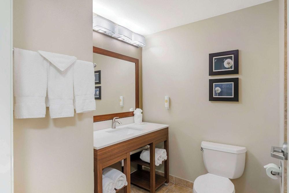 Comfort Inn & Suites Tifton photo 13