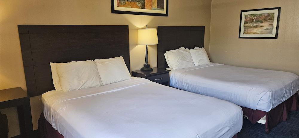 Bellis Inn photo 18