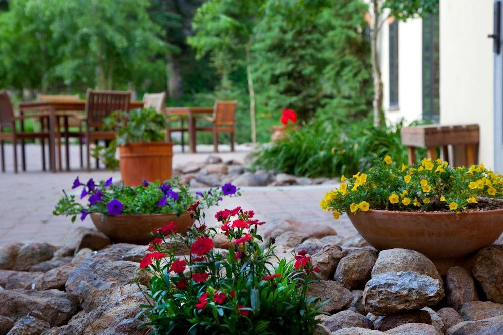 The Edelweiss Lodge and Spa photo 61