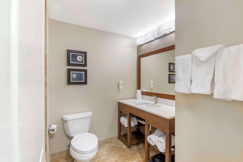 Comfort Inn & Suites Tifton photo 12
