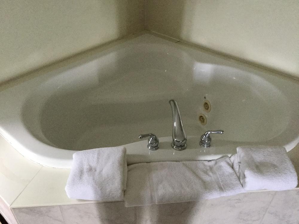 Econo Lodge Lincoln photo 65