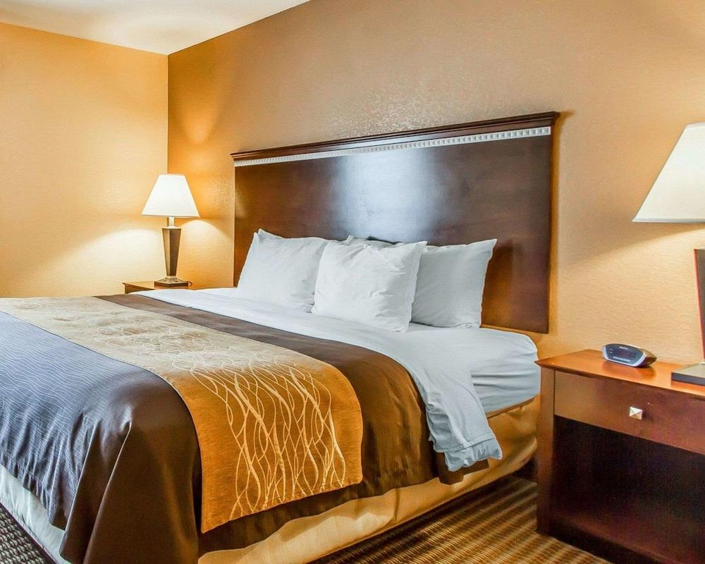 Quality Inn & Suites Mount Pleasant photo 7