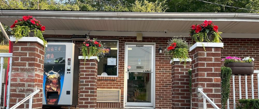 Pine Tree Inn photo 45