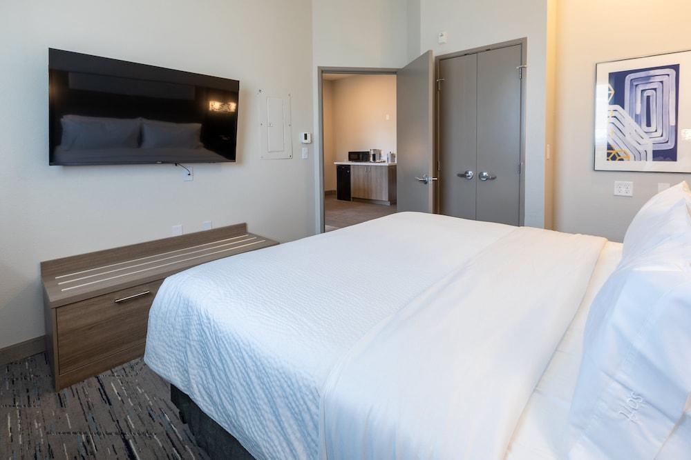 Holiday Inn Express & Suites Englewood Denver South by IHG photo 27