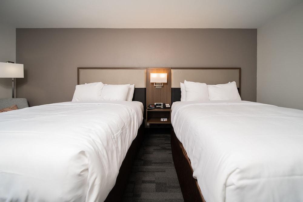 Comfort Inn & Suites Wyomissing/Reading photo 5