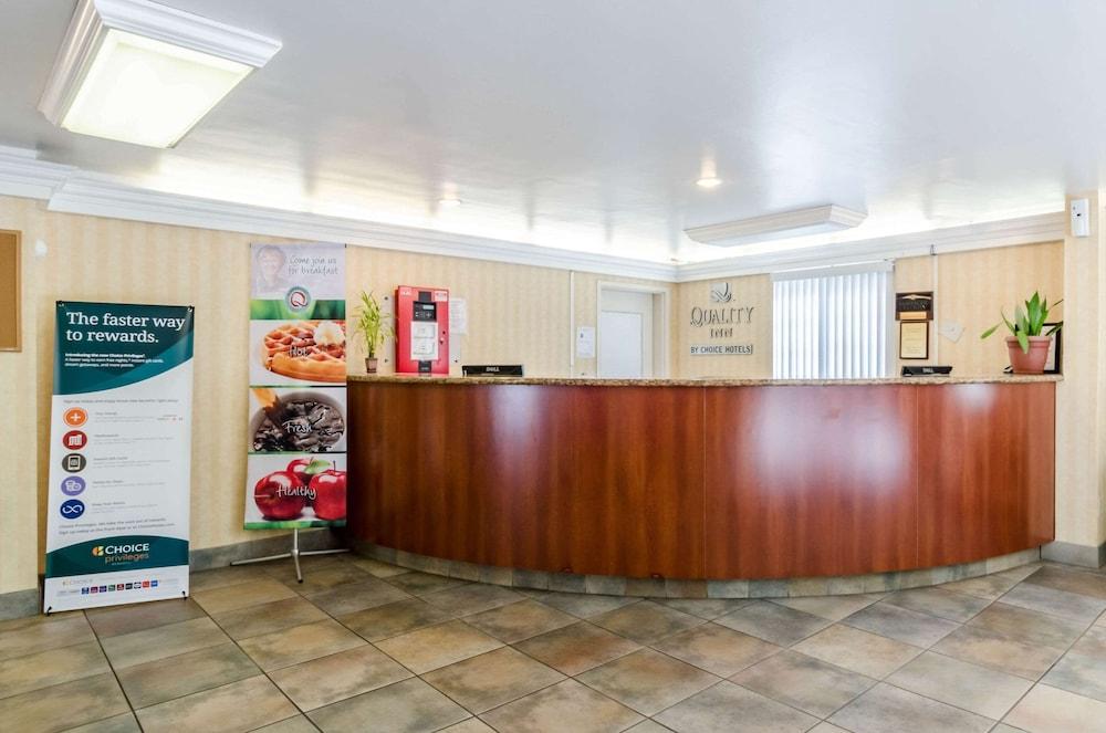 Quality Inn Chicopee - Springfield photo 3